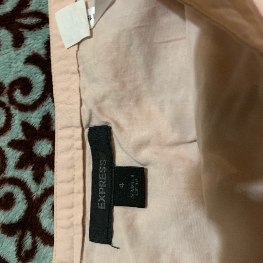 Express size 4 skirt